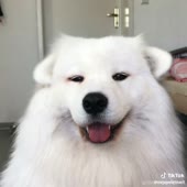 960x960