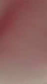 456x810