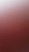 406x720