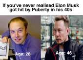 460x336