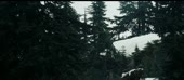 1018x446