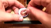 460x258