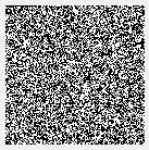 137x138