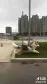 360x640