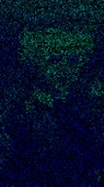 720x1280