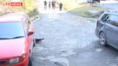 480x270