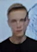 248x344