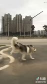 360x640