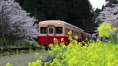 960x540
