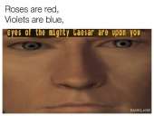 640x482