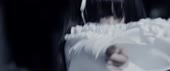 1920x804