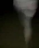 292x360