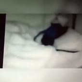 360x360