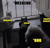 390x376