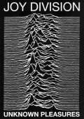 345x488