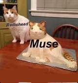 933x989