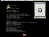 318x240