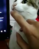 576x720