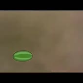 360x360