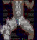 478x512