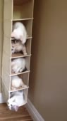 406x720