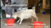 640x360