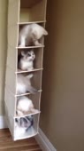 406x720