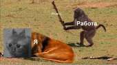 634x356
