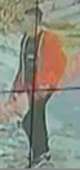 148x313