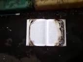 320x240