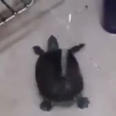 360x360