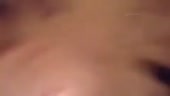 480x272
