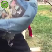360x360