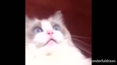 640x360