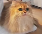 360x292