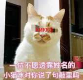 440x429