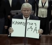 320x278