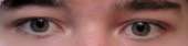 397x100