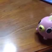 360x360