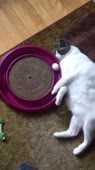 360x640
