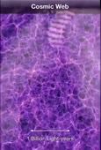 244x360