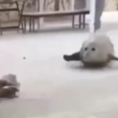 360x360