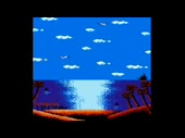 320x240