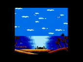 320x240