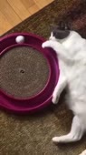 360x640