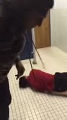 360x640