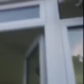 360x360