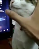 576x720