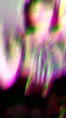 448x800