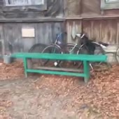 360x360